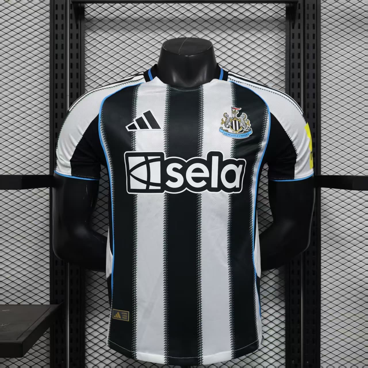 Newcastle - Imagem 1